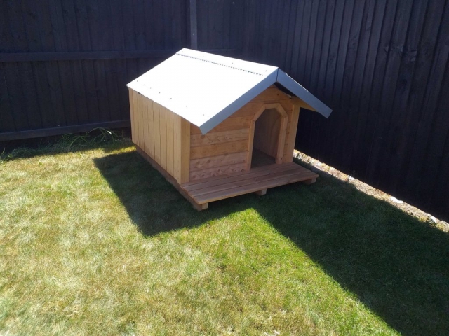 Dog Kennel Hopkins