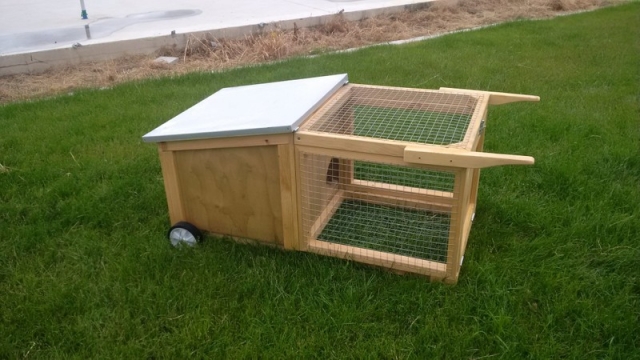 Rabbit Hutch